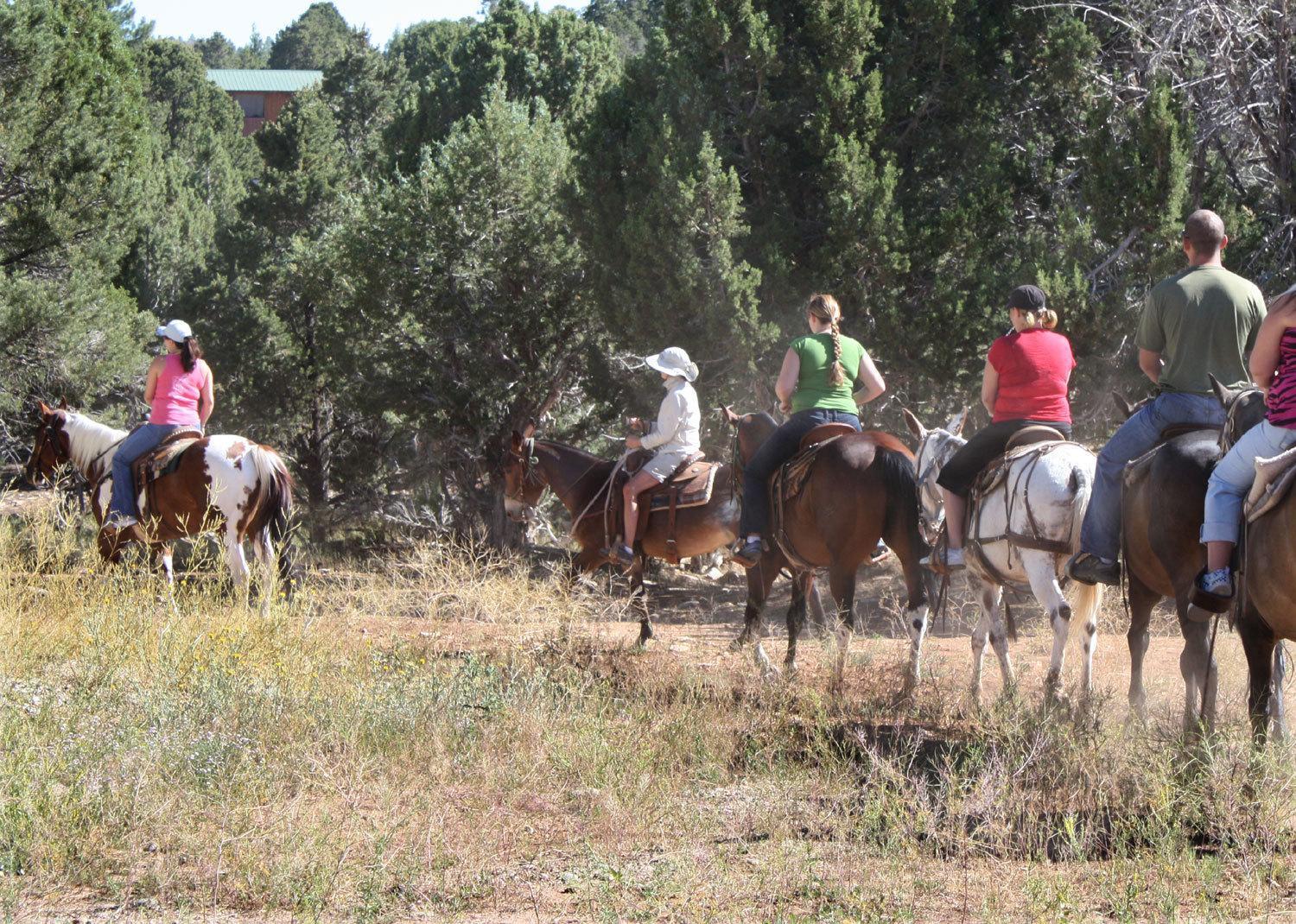 Zion Ponderosa Ranch Resort Springdale Kültér fotó